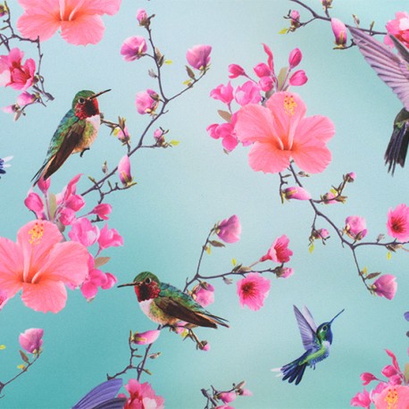 Softshell Fabric Lagoon Blue Humming Bird Hibiscus