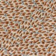 Cotton Bias Binding - Saffron Automnia x 1m
