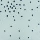 luxury flocked tulle fabric - Celadon Star x 10cm