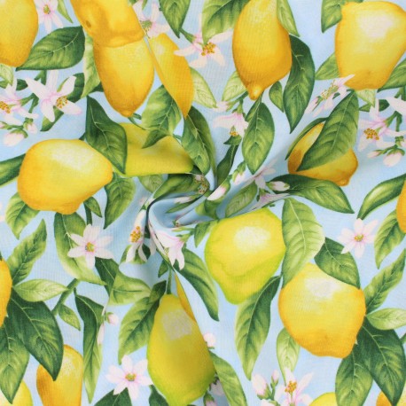 Timeless Treasures Poplin Fabric Sky Blue Lemon Blossom Mpm