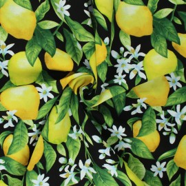 Tissu coton Timeless Treasures - Lemon Blossom - noir x 10cm