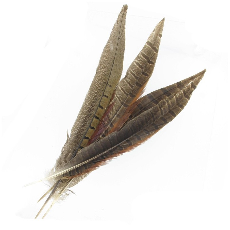 Lot de 4 grandes plumes de Faisan Ma Petite Mercerie