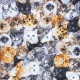 Timeless Treasures cotton fabric - multicolor Cat breeds x 10cm