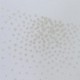 Tulle mariée écru x10cm