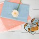 Tissu Bloom popeline Bye Bye Birdie blush x 10cm