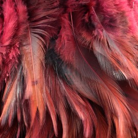Pearly effect Feather braid 10cm - lie de vin x 50cm